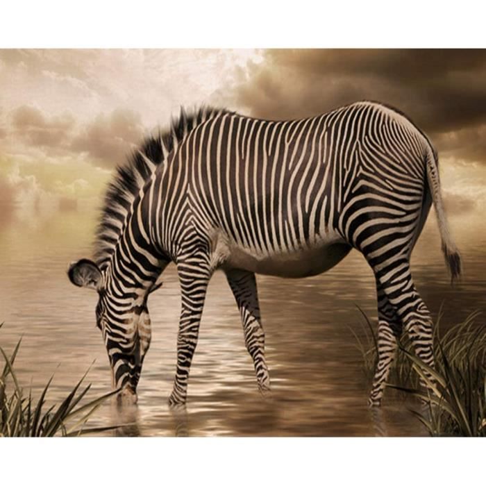 Peinture Par Numéro Adulte Garçon Japonais Armure Homme Samouraï 40x50cm Bricolage Tableau Peine