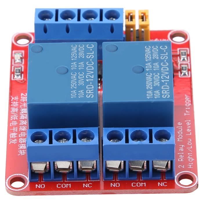 Module Relais 2 Canaux 5V 20A - Contrôle Haute/basse Tension - Pour Projets Arduino/Raspberry