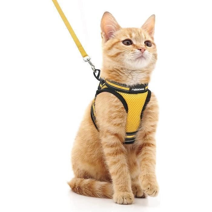Gilet jaune pour chat best sale