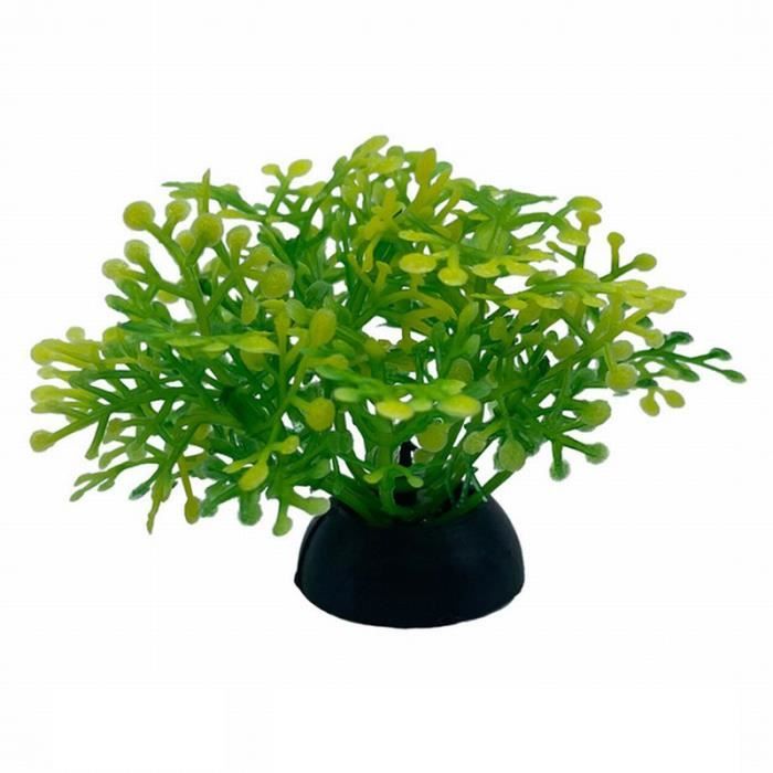 Meilleurs prix pour Décoration d'aquarium - PVC - Plante de simulation - Vert - Poisson d'eau froide
