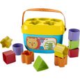 Fisher-Price Mon Trieur de Formes jouet bebe, boite avec 10 blocs, pour apprendre a trier et a empiler, couleurs vives, 6 moi-0