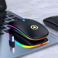 Souris ergonomique sans fil rechargeable silencieuse LED rétro-éclairé Portable mignon Mini souris Works pour PC ordinateurs Noir