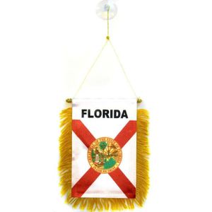 GUIRLANDE NON LUMINEUSE Fanion Floride 15x10cm - floridien - Etat américai