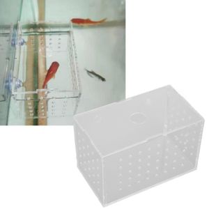 PONDOIR - BAC D'ÉLEVAGE Drfeify Éclosoir d'incubation en acrylique transpa