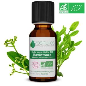 Huile Essentielle Ravintsara - 10 ml - NatureSun Aroms