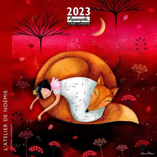 Calendrier Olivier Fölmi 2024 (16 Mois) - Méditation - 30X30 Cm - 21436 - Expédition Le Jour