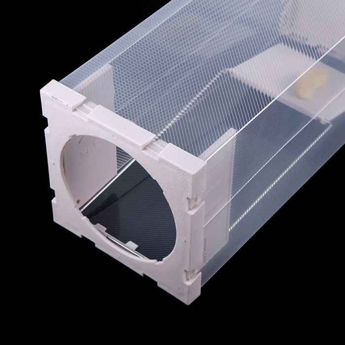 AUCUNE Cage à rat sans cruauté Cage de piège à rat sans cruauté Animal vivant Rongeur Souris Contrôle de la souris jardin essence