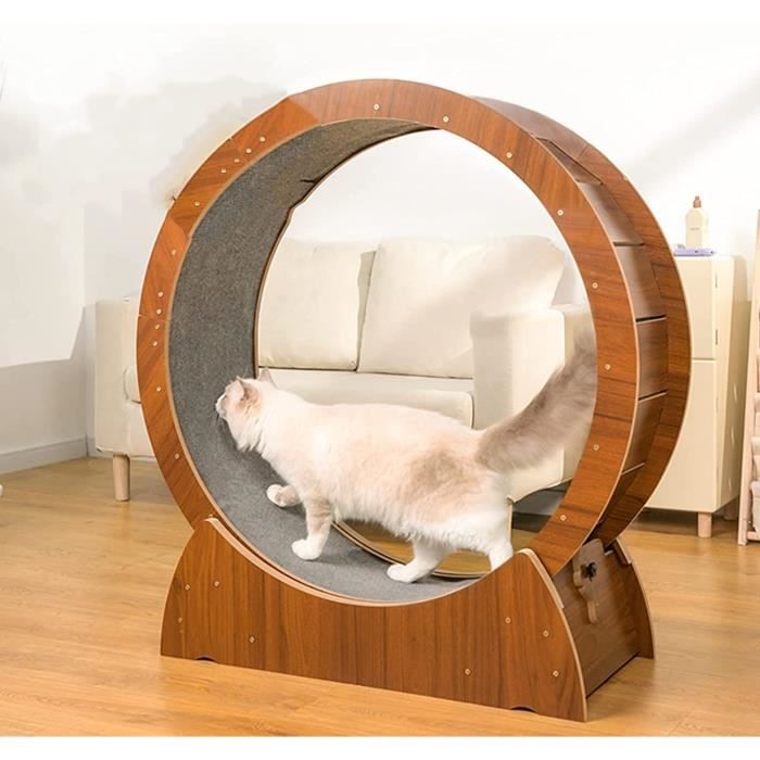 Roue Chat Roue de Tapis Roulant pour Chat Robuste pour Grands Chats