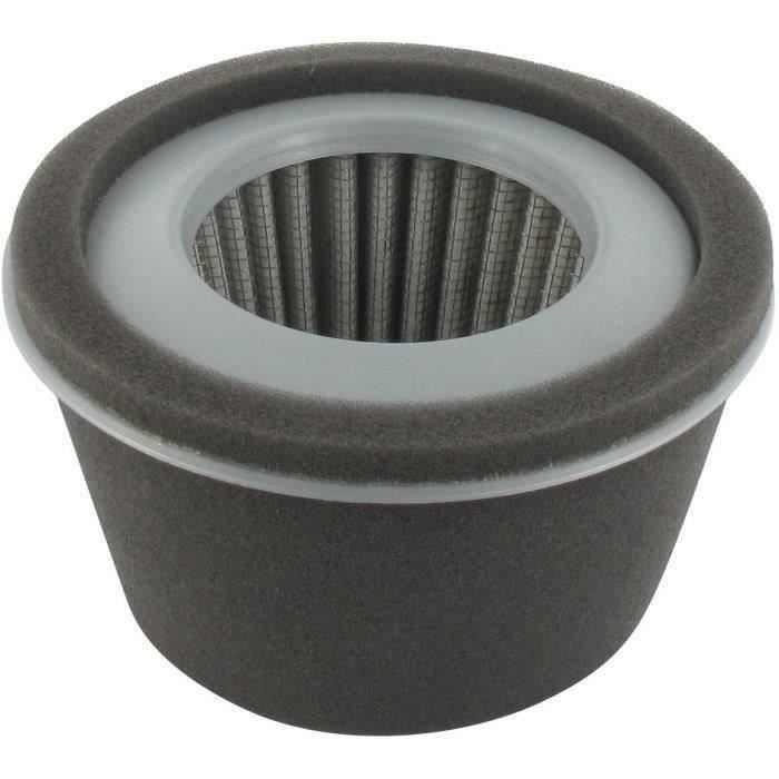 Filtre à air ROBIN 227-326-1007