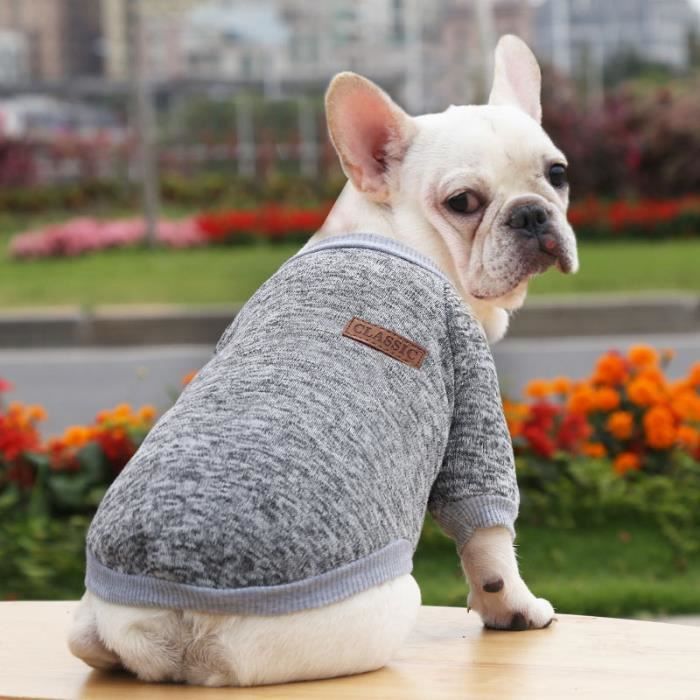 Manteau clearance chien xs