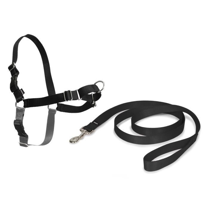 Harnais Easy Walk pour chien PETSAFE - Noir - S - Confortable - 4 points de Réglage - Résistant Harnais Easy Walk pour chien PETSAFE - Noir - S - Confortable - 4 points de Réglage - Résistant