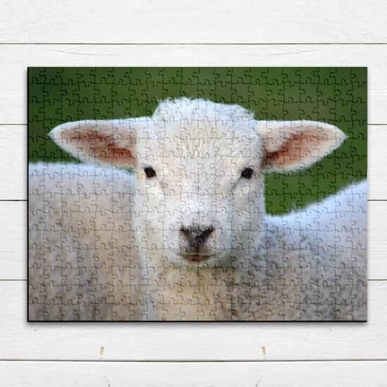 puzzle bois : animaux : Puzzle bois 4 pièces mouton ou agneau