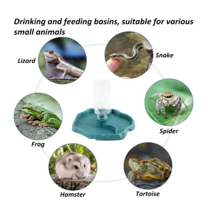 Lot De 2 Abreuvoirs Pour Tortue Terrestre - Bol Eau Nourriture Petit Reptile - Serpent, Lézard - Vert
