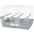 Cage d'élevage oiseaux - Zolux - Primo Cati - 57 x p34.5 x 41 cm - Blanc et gris