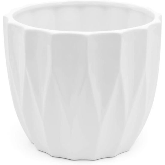 Pot De Fleurs Pour Cactus | Pot De Fleurs, Cactus, Pots