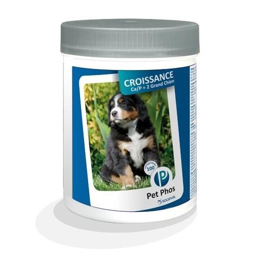 Aliment complémentaire, croissance Grand Chien