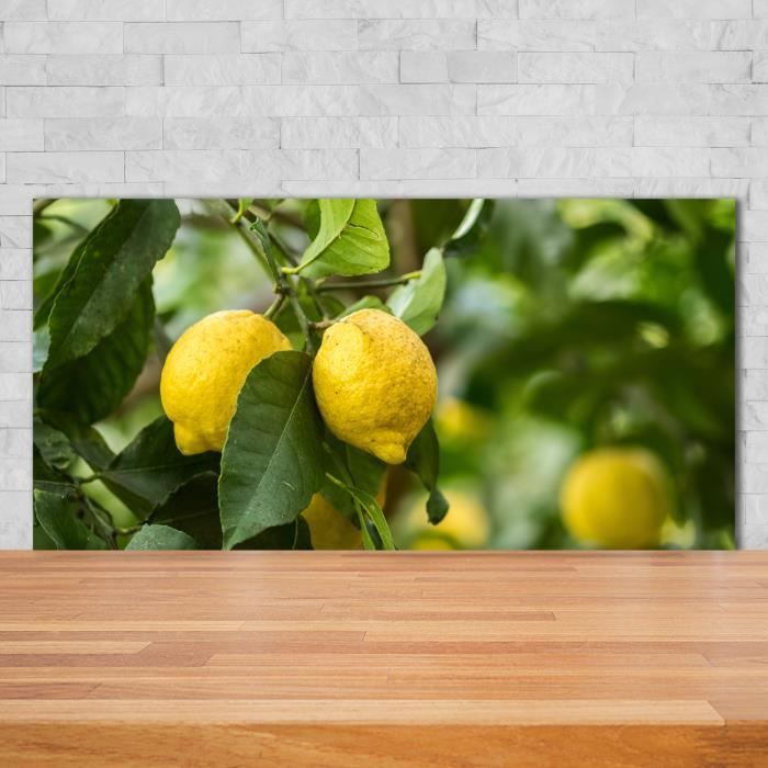 Tulup 140x70cm Credence De Cuisine Sur Verre Securite Nourriture Boissons Citrons Sur L Arbre Jaune Achat Vente Credence Credence De Cuisine Cdiscount