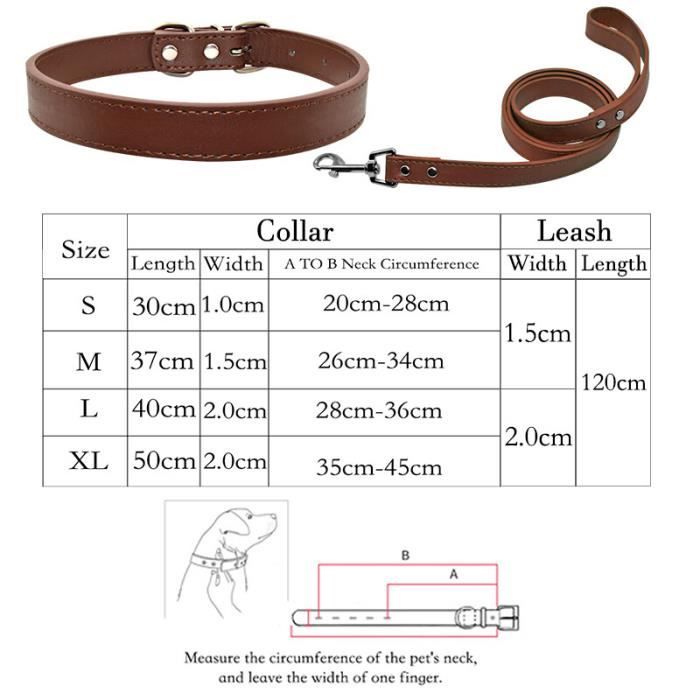 Paire De Cordes De Selle En Cuir Marron – Avec Clip Et Anneau Dee – 1/2 Pouce