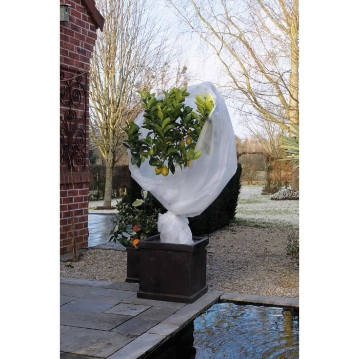 NATURE Voile d'hivernage 30 gm² 2 x 10 Lot de 2