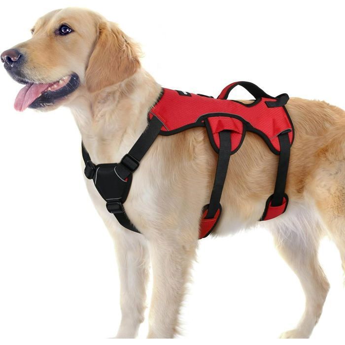 Meilleurs prix pour Rabbitgoo Harnais pour Chien avec Poignée de Levage Harnais Réglables pour Animaux de Compagnie Facile à Contrôler L Rouge