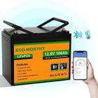 ECO-WORTHY Batterie Lithium 12V 100AH Bluetooth Batterie LiFePO4,Protection de BMS et de Basse Température,4000+ pour Camping Car