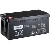 Batterie DÃ©charge Lente 230A