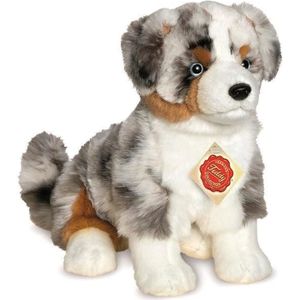 Chiens Berger Australien