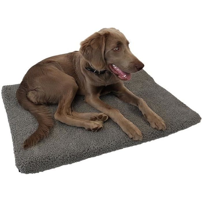 Tapis orthopédique pour chien ou chat Laika 80 x 55 x 5 cm - Matelas viscoélastique mousse à mémoire avec housse amovible