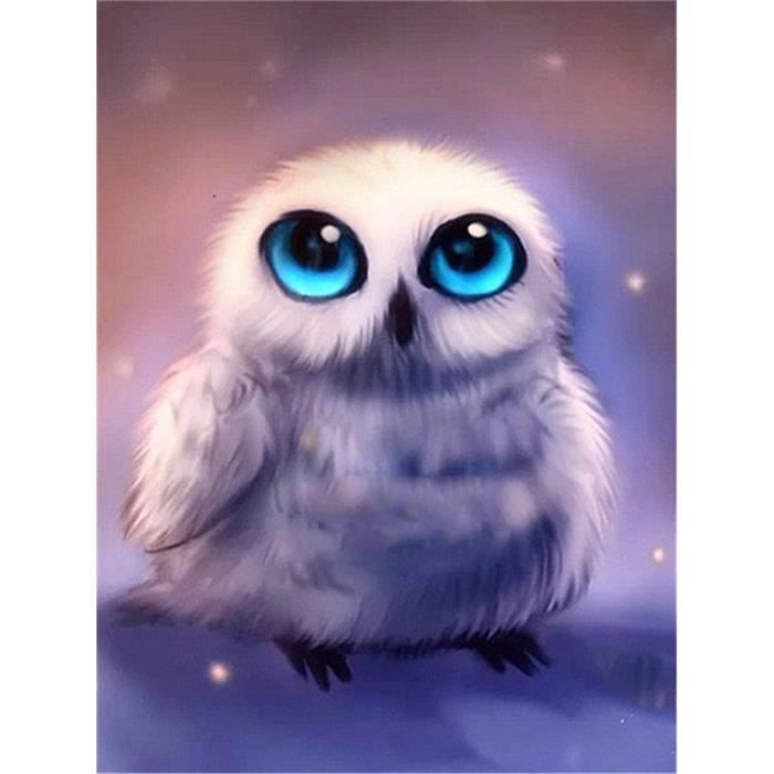 Kit De Peinture Diamant 5D Bébé Hibou 30x40 Cm - Art Du Diamant Pour Adultes Débutants, Outils Inclus - 11