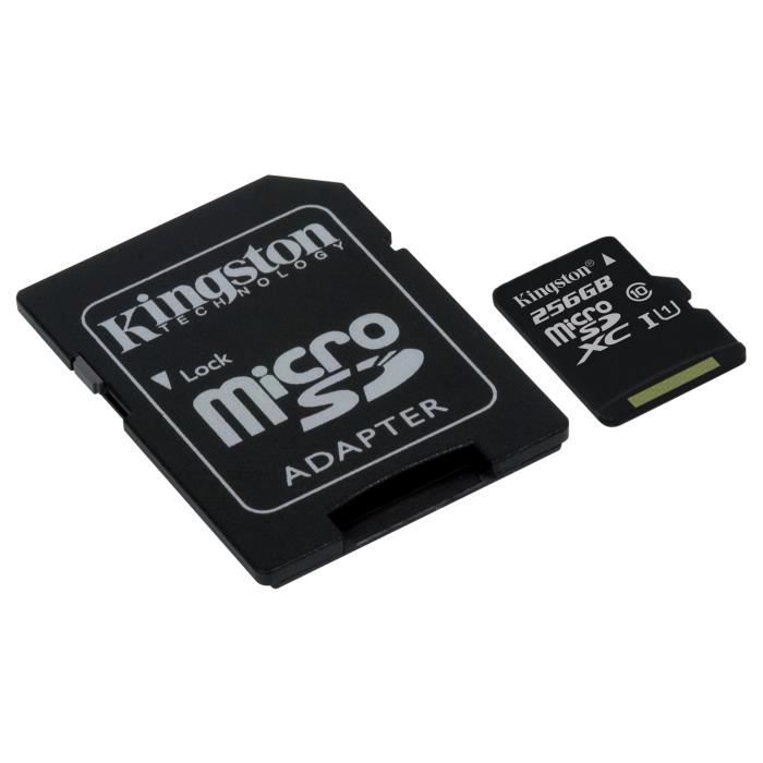 Kingston - Carte mémoire flash (adaptateur microSDXC vers SD inclus(e)) - 256 Go - UHS Class 1 / Class10 - microSDXC UHS-I