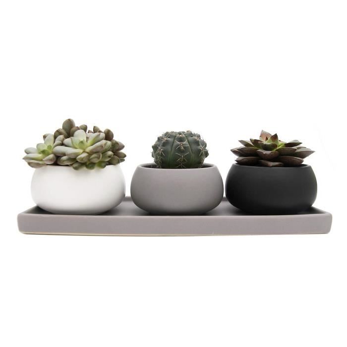 Cache Pot Rectangulaire Haut 7 5cm Pot De Succulente Avec Plateau Rectangulaire Lot De 3
