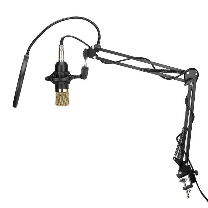 Au-A04 Kit De Microphone De Studio Avec Connexion Usb Sur Table À