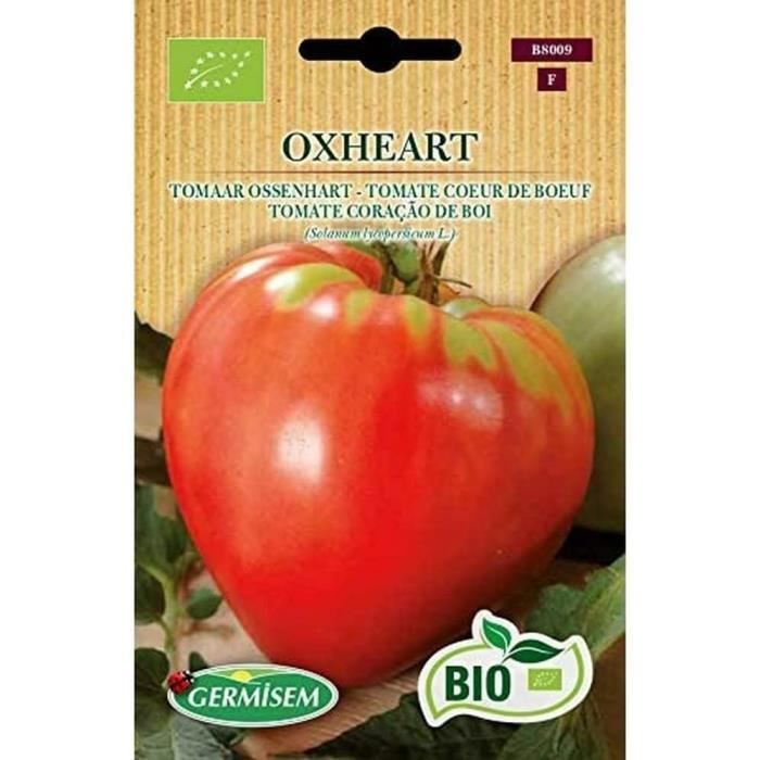 Graines Tomate Cerise Minibel | Variété Naine Pour Pot Et Balcon | Germisem
