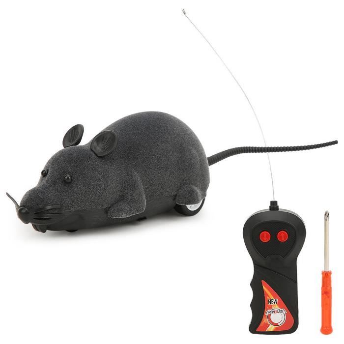Cafard Télécommandé HEITIGN - 14,2x8,2x3,5 Cm - Effet Lumière - Déplacement Réaliste - Blague Et Halloween - Piles Incluses