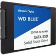 WD Blue™ - Disque SSD Interne - 3D Nand - 250Go - 2.5" (WDS250G2B0A)-1