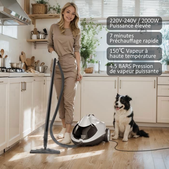 Nettoyage écologique Vapeur Nettoyeur Vapeur Multi-usages KROQO - 23 Accessoires - 50 Min Autonomie Karcher Nettoyeur Vapeur