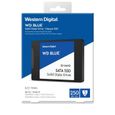 WD Blue™ - Disque SSD Interne - 3D Nand - 250Go - 2.5" (WDS250G2B0A)-3