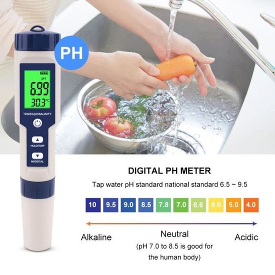 Portable 5 en 1 Fonction Testeur de Qualit/é de leau pH Salinit/é TDS EC Testeur avec R/étro-/éclairage pour leau Potable Piscine Traitement des Aliments Denash Testeur de Qualit/é de leau