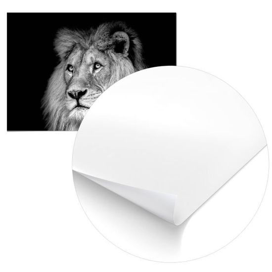 Panorama Poster Lion Noir Et Blanc 50x35cm Imprimee Sur Poster De Grande Qualite Poster Animaux Poster Zen Moderne Art Achat Vente Affiche Poster Panorama Poster Lion Noir Et Cdiscount L'emplacement du design peut légèrement différer de celui présenté en aperçu. panorama poster lion noir et blanc 50x35cm imprimee sur poster de grande qualite poster animaux poster zen moderne art