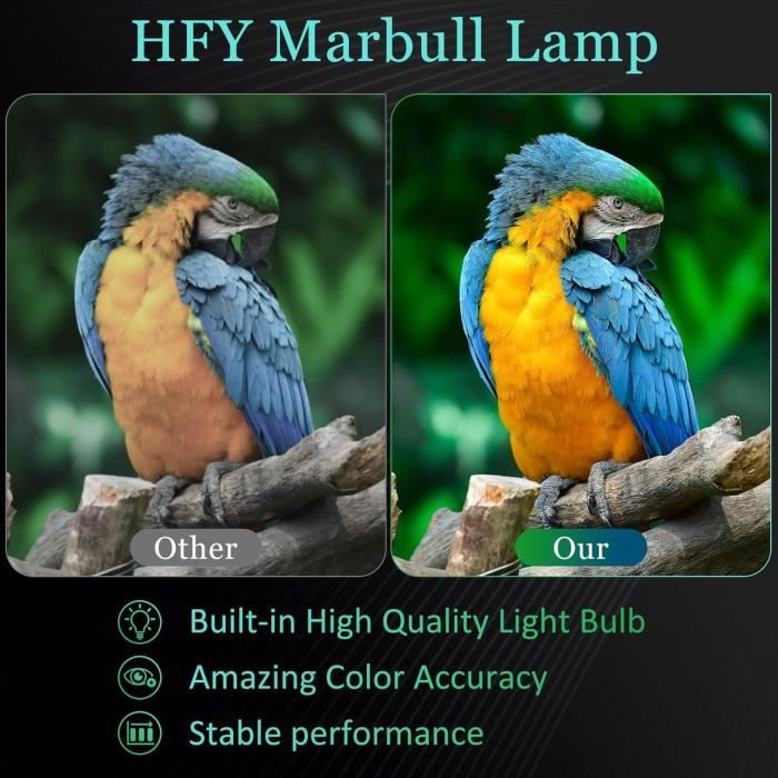 Lampe De Remplacement W/Housing Np30lp Pour NEC M332 X S