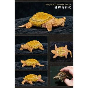 FIGURINE - PERSONNAGE Verser8 - Modèle de mini tortue boîte commune Osceola, Jouets de collection d'animaux sauvages, Artisanat, So