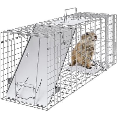VEVOR Lot De 10 Cages à Plantes Contre Animaux - Protecteur Jardin 30,5x30,5 Cm Métallique
