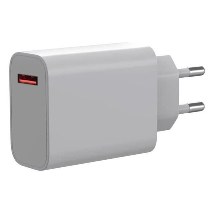 Chargeur Secteur Rapide 33W pour Xiaomi Redmi Note 11 - Redmi Note 10 - Poco M4 PRO - Poco X3 - Mi 11 Lite - Pad 5 - Yuan Yuan -