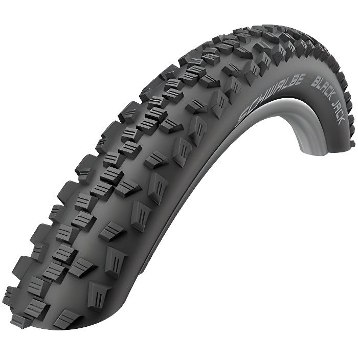 Pneu vélo - VTT - SCHWALBE - BLACK JACK HS407 ACTIVE LINE - 20x1.90 (47-406) - Noir - TUBETYPE