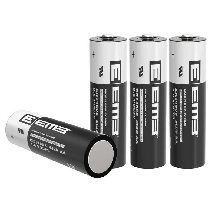 Piles Eemb - ER14505