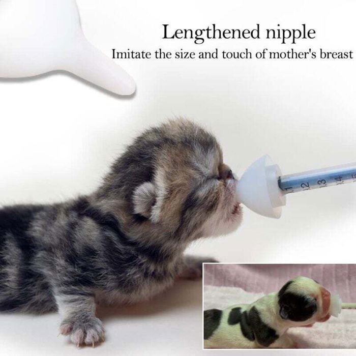 Biberon en silicone pour petits animaux - PZCC - 5 tétines blanches - 3 seringues incluses - Gel de silice liquide