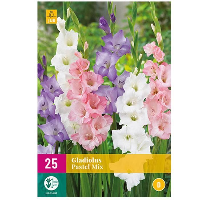 Mélange de 25 glaïeuls pastel - Variété de fleurs - Facile à cultiver