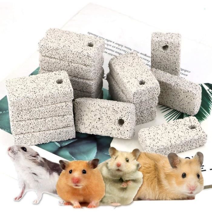 Pierre molaire pour animaux de compagnie - YSTP - Lot de 20 - Roche volcanique - 6 3 x 1 5 cm - Jouets à mâcher
