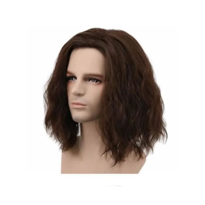 Perruque 2025 brune homme