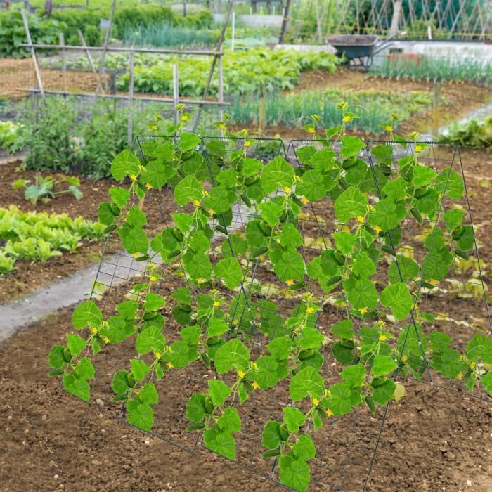 Treillis Concombre Métal 160x120cm - Support Plantes Grimpantes Jardin - Arche Pliable